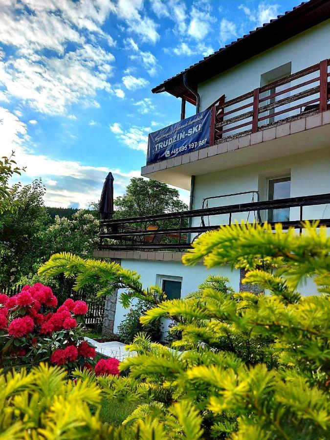 Pokoje Goscinne "Trudzin-Ski" Swieradow-Zdroj Bagian luar foto